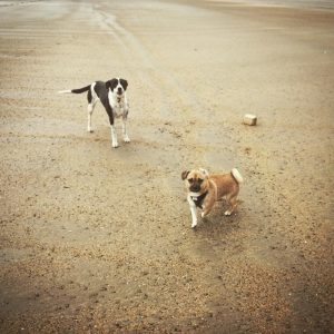 jeff-and-misha-beach