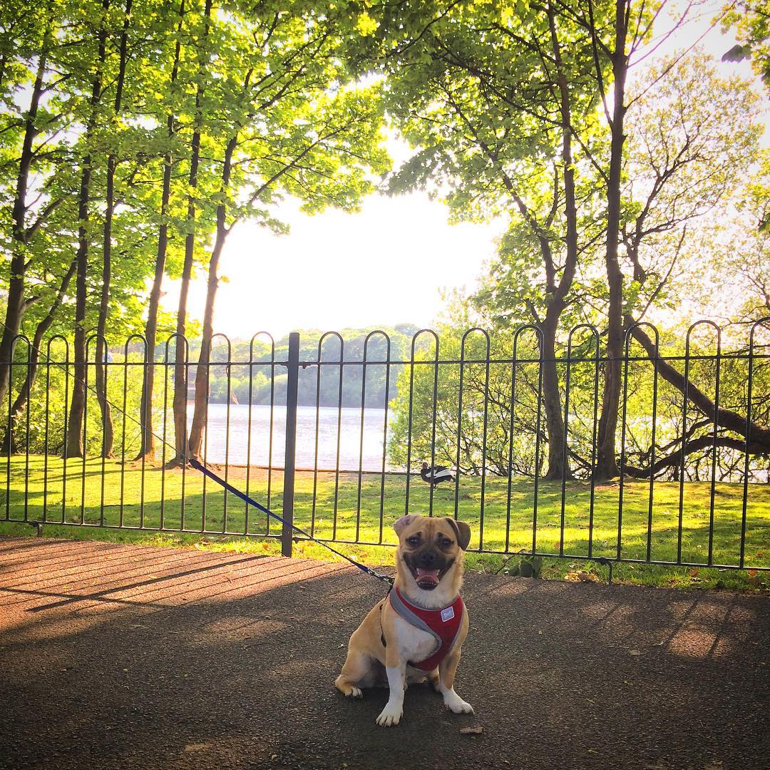 Jeff At The Park In Spring