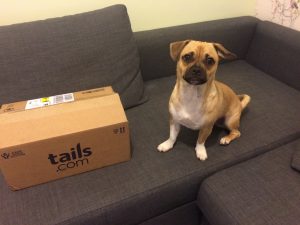 Jeff and tails.com delivery