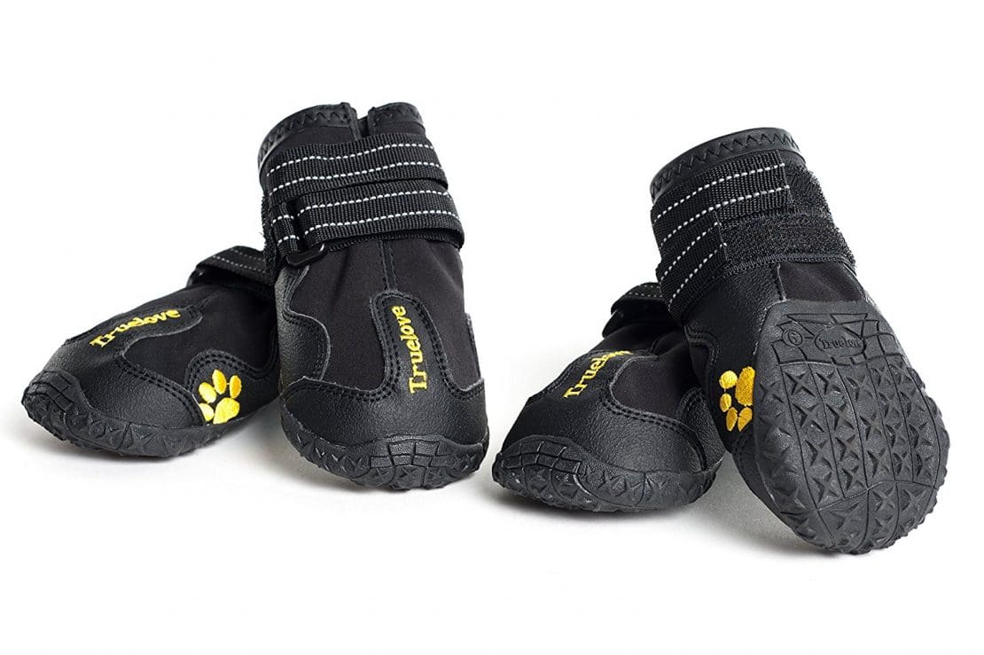 Best Dog Coats For Winter 2019 UK Warm Coats For The Cold JugDog