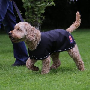 Best Dog Coats For Winter 2019 UK - Warm Coats For The Cold - JugDog