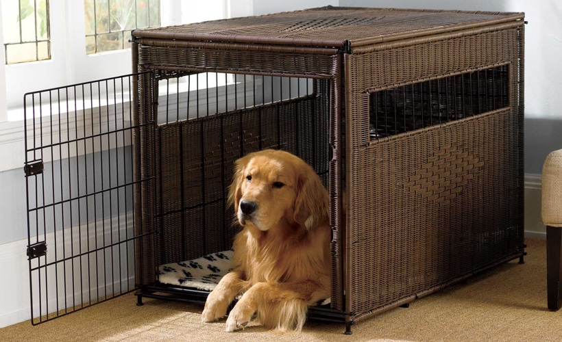 Best Dog Crates