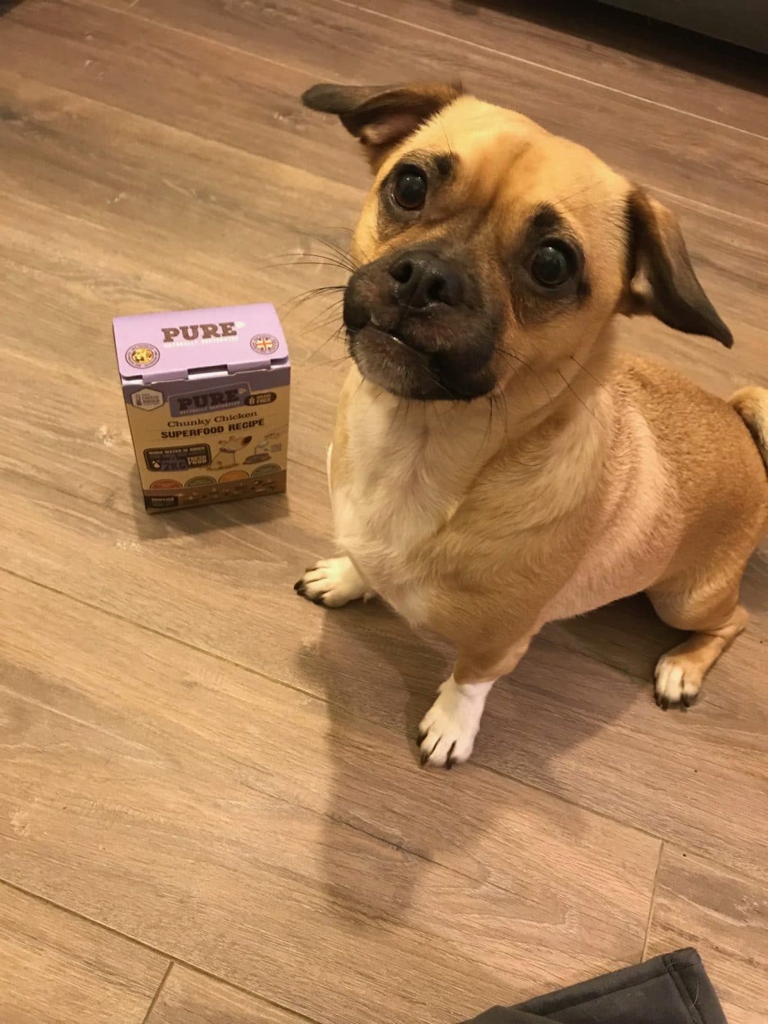 Pure Dehydrated Dog Food Review