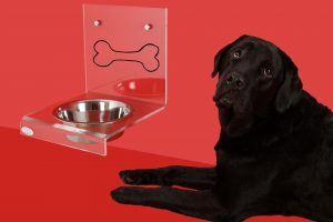 Top 5 Cat and Dog Pet Feeders for Best Value for Money