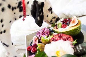 Dog Eating Fruit