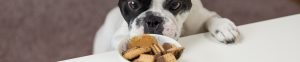 Picking The Best Food Type For Your Dog