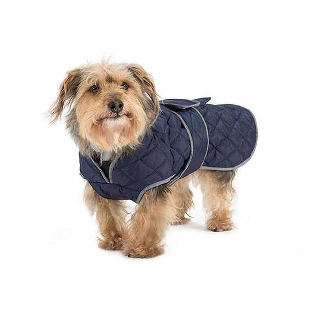 Best Dog Coats For Winter 2019 UK Warm Coats For The Cold JugDog