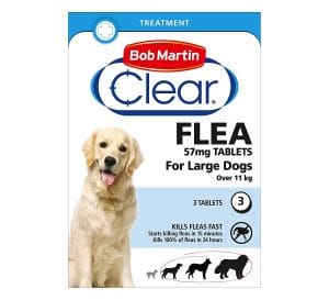 best flea medicine for dog