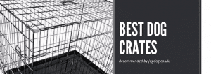 Beginner’s Guide to Top 5 Dog Crates in the UK (July 2023)