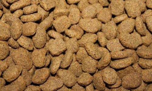 High fibre dog food