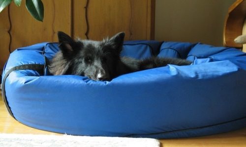 Waterproof Dog Beds