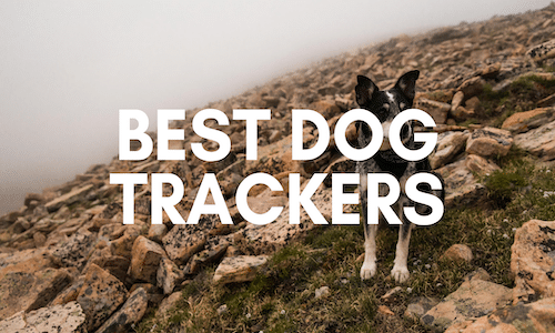 best dog trackers uk