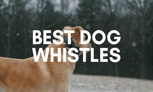 best dog whistles uk