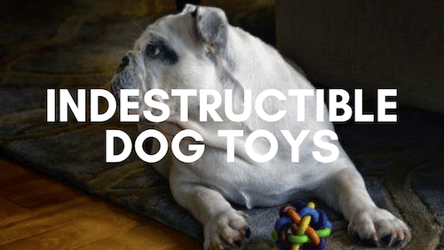 best indestructible dog toys