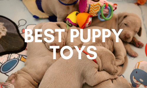 best puppy toys uk