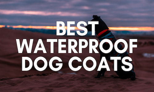 best waterproof dog coats