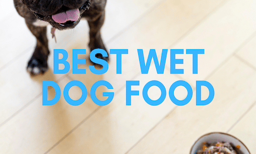 best wet dog food uk