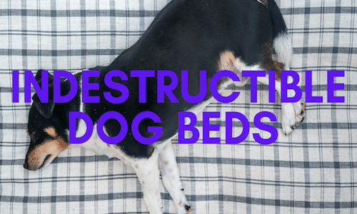 Indestructible Dog Beds cover