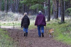 Are off the lead dog walks illegal in UK 2023? How to do it?