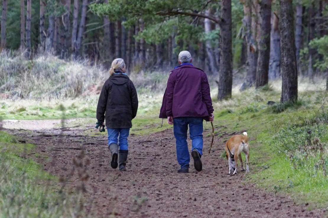 walking dog off lead