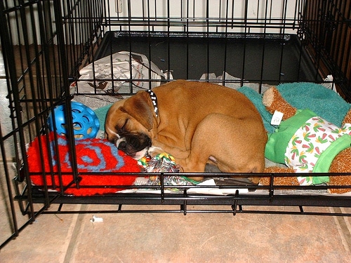 putting blanket over dog crate