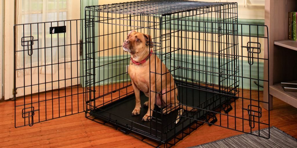 where is the best place to put a dog crate