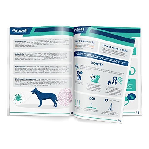 Best Flea Treatments For Dogs in the UK 2019 Get Rid Of Fleas NOW!!