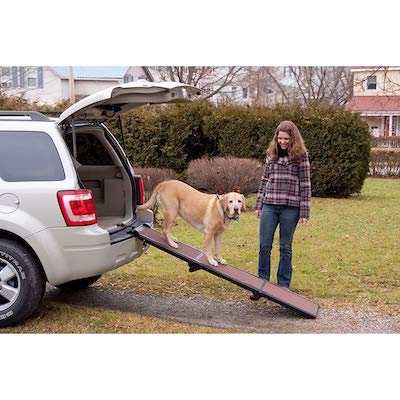 Pet Gear Tri Fold Dog Ramp 3