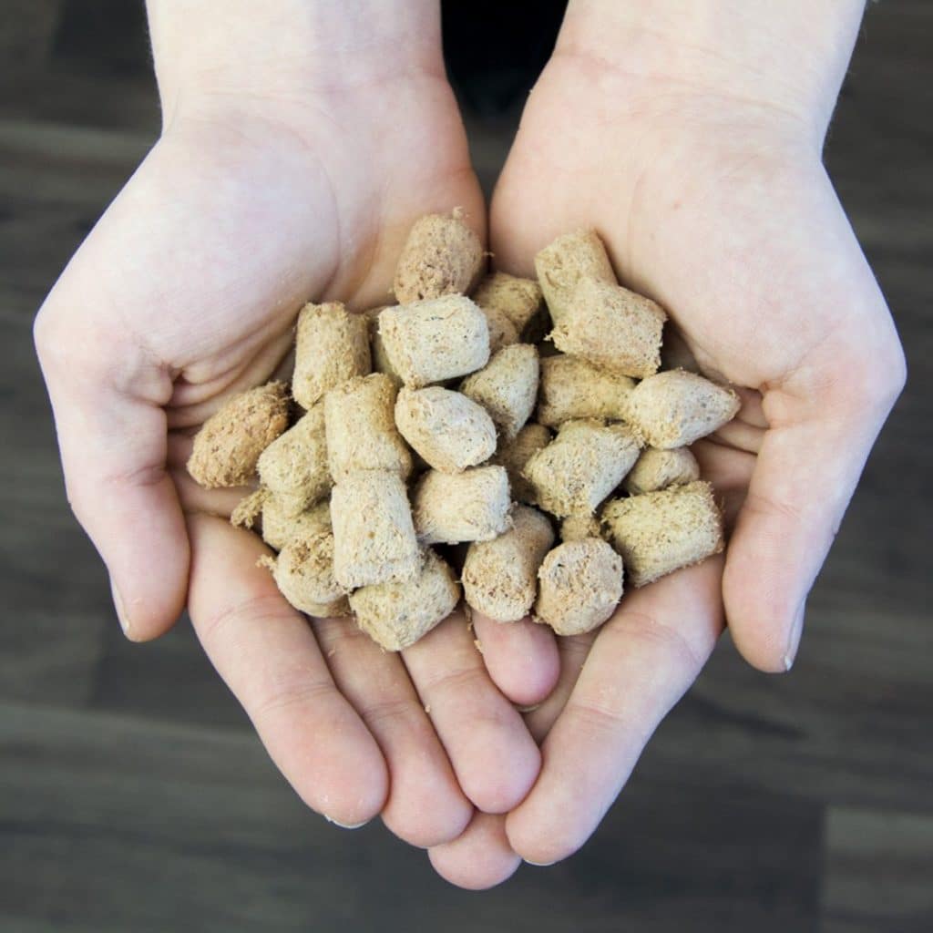 Stella and Chewy's Dog Treats 2