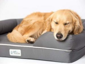 Pet Fusion Dog Bed 1