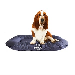 The Dog's Bed Premium Waterproof Dog Bed 1