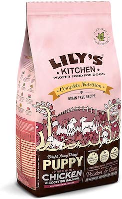 Lily's Kitchen Chicken & Salmon Dry Puppy Food