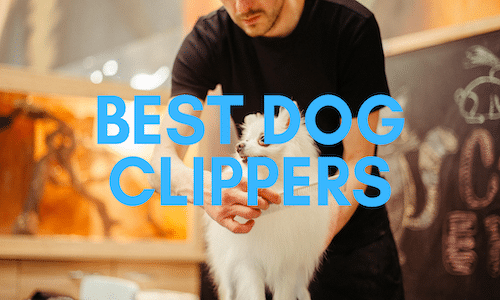 best professional dog clippers uk