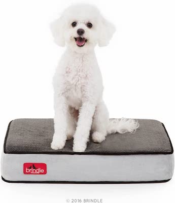 Brindle Solid Memory Foam Orthopedic Dog Bed