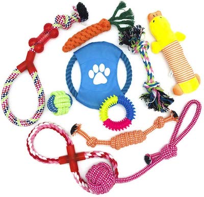 Best Teething Toys For Puppies cover