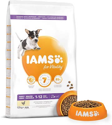 iams dry kibble