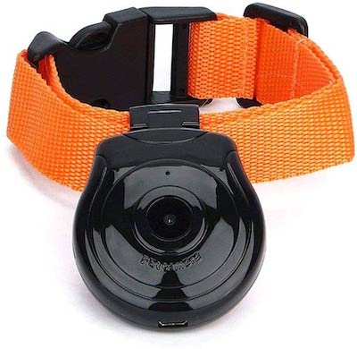 Auoker-Dog-Collar-Camera