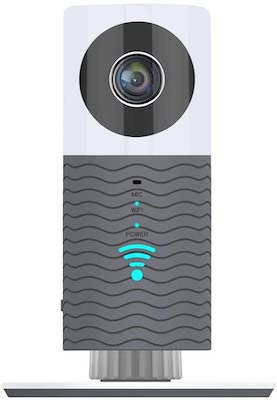 Clever Dog Camera Review cover