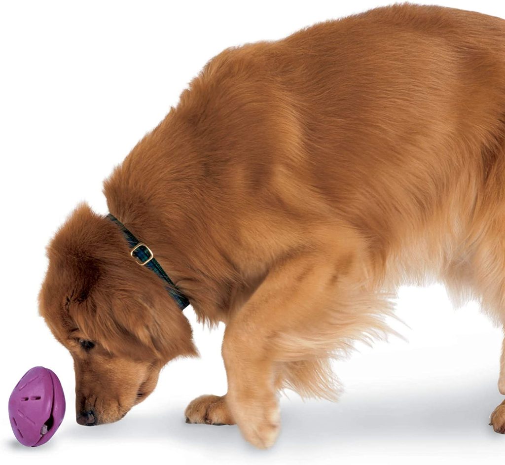best dog treat dispensing toys