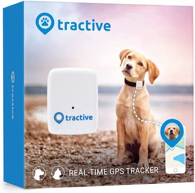 Tractive Dog Tracker Review