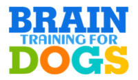 brain training for dogs