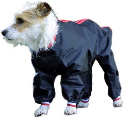 Trouser Suit Dog Coat in Red  Standard Leg  Bows and Whistles