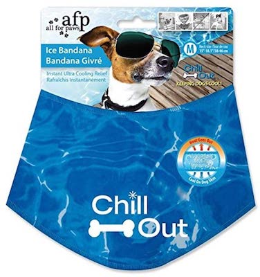 best dog cooling bandana