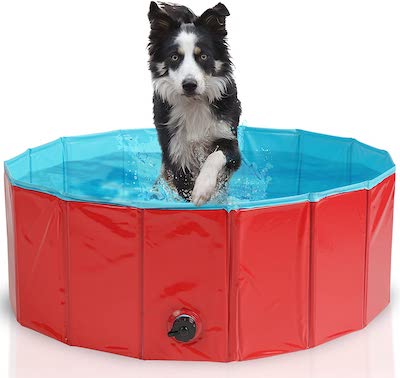 Bramble Dog Paddling Pool With High Walls