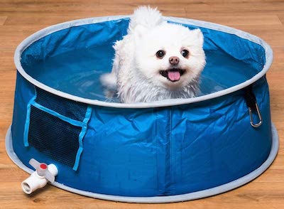 Coco Jojo Pop Up Pet Bath Dog