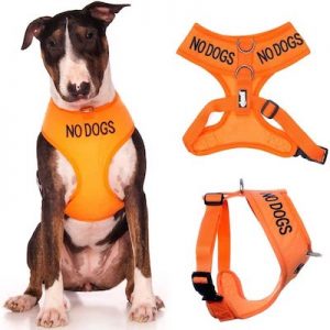 Aggressive Dog Warning Vest