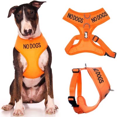 Aggressive Dog Warning Vest cover