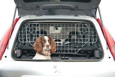 Speedwellstar - Dog Guard Universal Car Headrest
