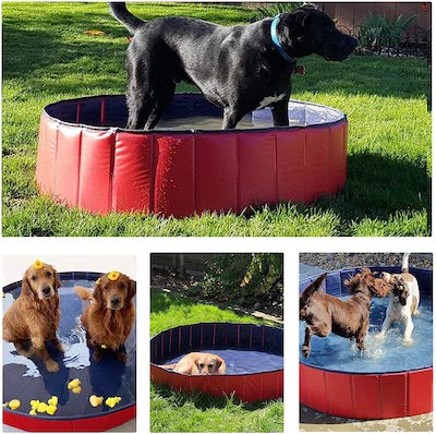 best dog paddling pool