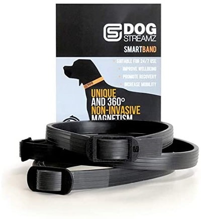 dog steamz magnetic smart band